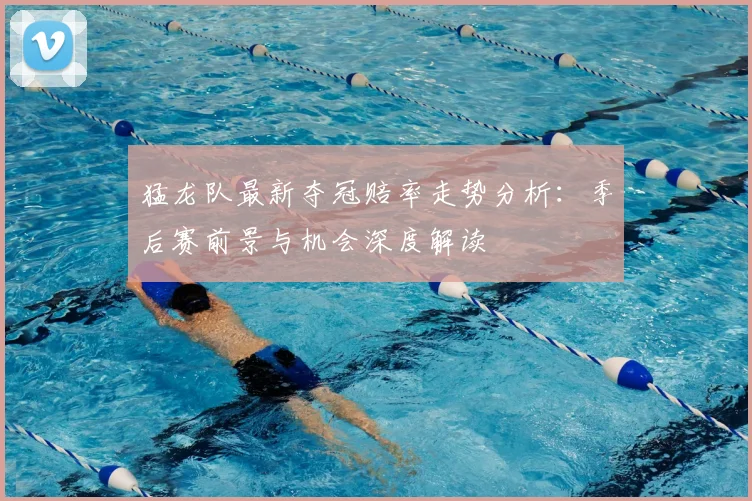 猛龙队最新夺冠赔率走势分析:季后赛前景与机会深度解读